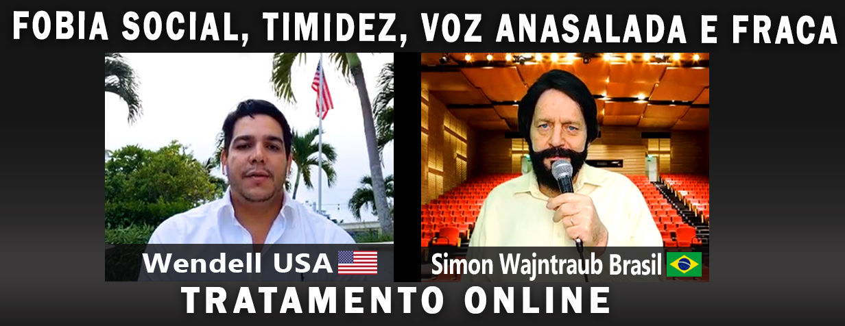 tratamento online para fobia social